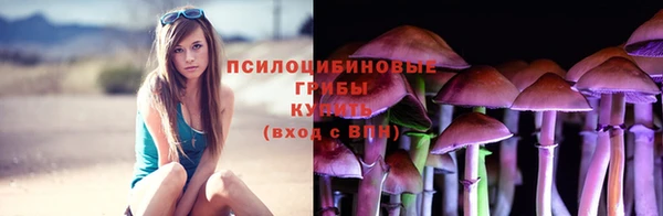 экстази Богданович