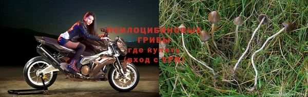 метадон Богородицк